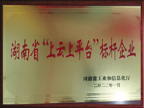 湖南省“上云上平臺”標桿企業